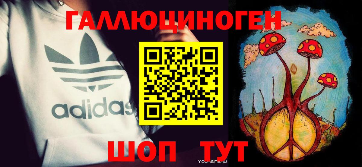 Псилоцибиновые грибы мицелий Димитровград