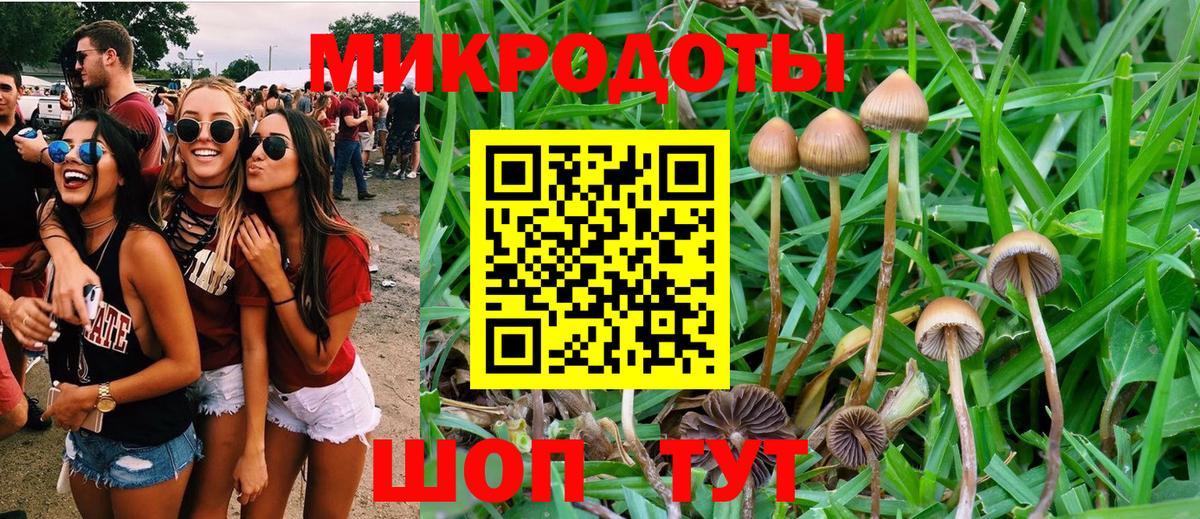 Галлюциногенные грибы GOLDEN TEACHER  Галлюциногенные грибы Psilocybine cubensis  Димитровград  Вход с VPN 